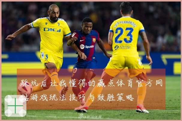 踩坑后让我懂得的赢点体育官方网站游戏玩法技巧与致胜策略