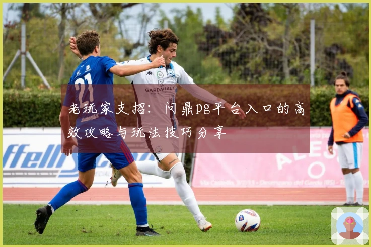老玩家支招：问鼎pg平台入口的高效攻略与玩法技巧分享