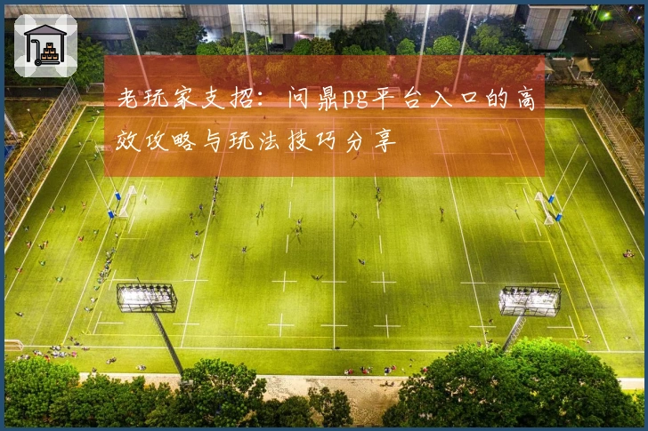 老玩家支招：问鼎pg平台入口的高效攻略与玩法技巧分享