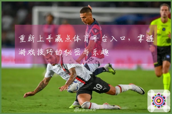 重新上手赢点体育平台入口，掌握游戏技巧的秘密与乐趣